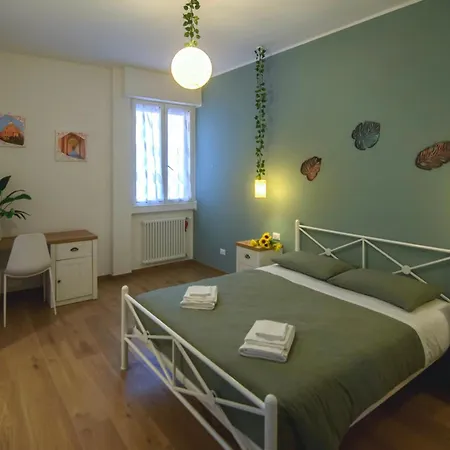 Sunny's House